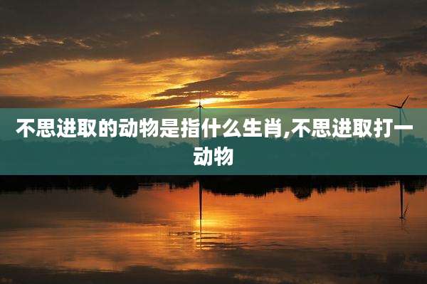 不思进取的动物是指什么生肖,不思进取打一动物