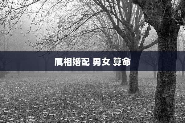 属相婚配 男女 算命