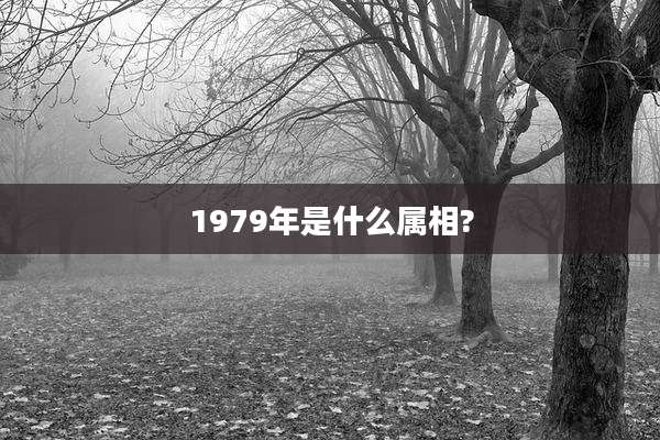 1979年是什么属相?