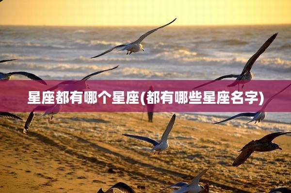 星座都有哪个星座(都有哪些星座名字)