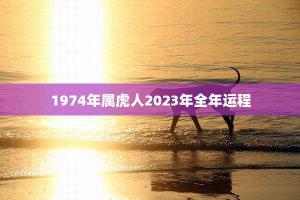 1974年属虎人2023年全年运程