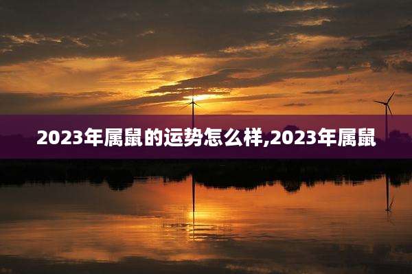 2023年属鼠的运势怎么样,2023年属鼠
