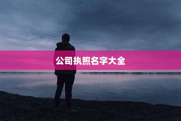 公司执照名字大全