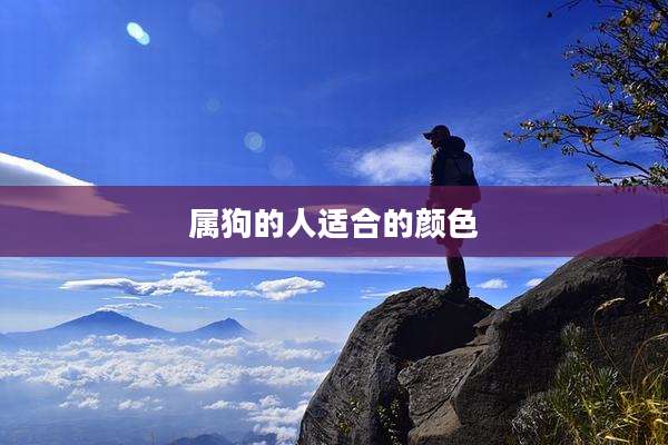 属狗的人适合的颜色