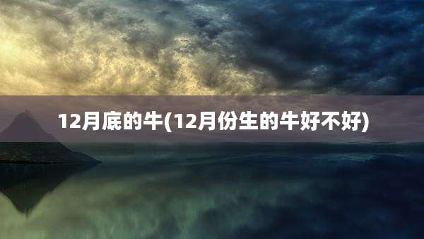 12月底的牛(12月份生的牛好不好)