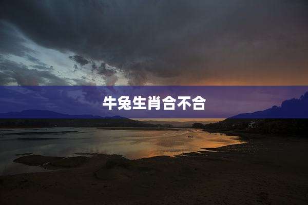 牛兔生肖合不合