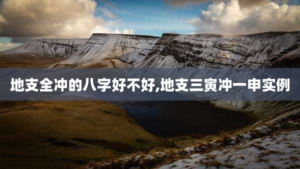 地支全冲的八字好不好,地支三寅冲一申实例