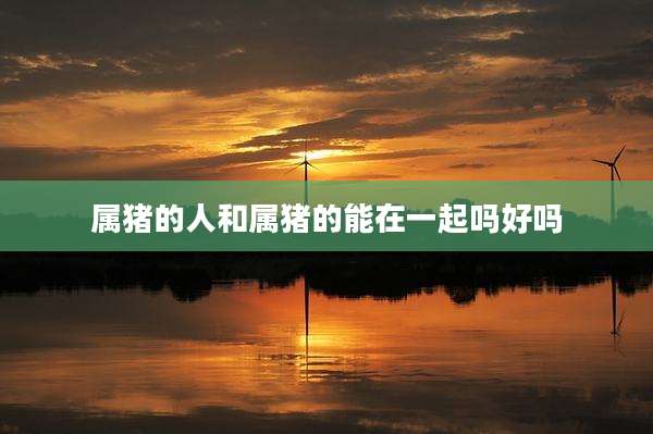 属猪的人和属猪的能在一起吗好吗