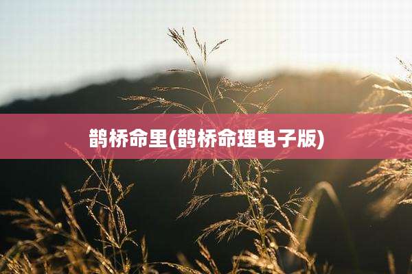 鹊桥命里(鹊桥命理电子版)