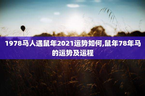 1978马人遇鼠年2021运势如何,鼠年78年马的运势及运程