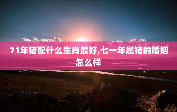 71年猪配什么生肖最好,七一年属猪的婚姻怎么样