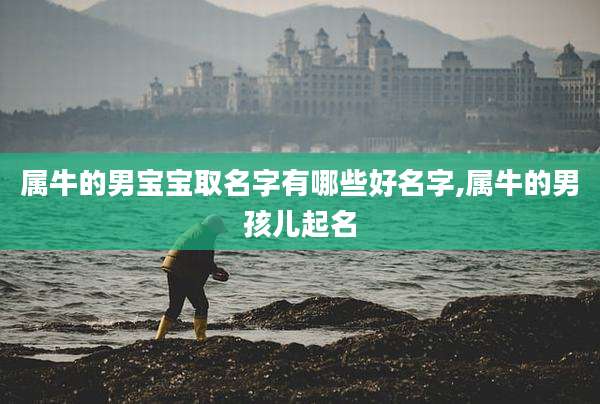 属牛的男宝宝取名字有哪些好名字,属牛的男孩儿起名