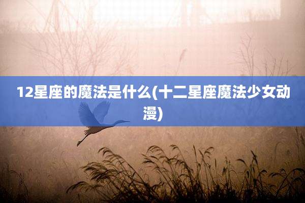 12星座的魔法是什么(十二星座魔法少女动漫)