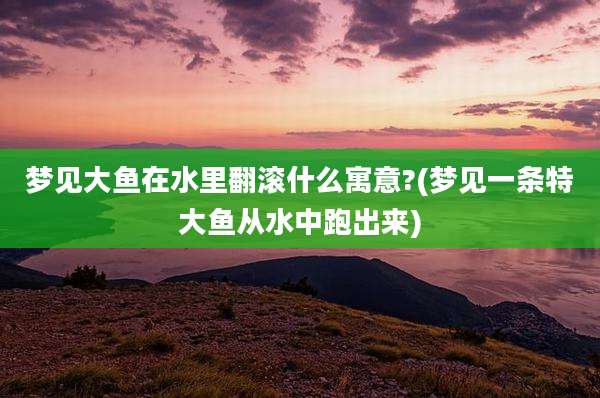 梦见大鱼在水里翻滚什么寓意?(梦见一条特大鱼从水中跑出来)