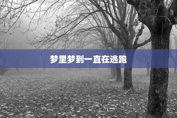 梦里梦到一直在逃跑