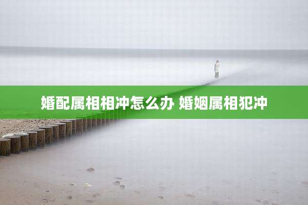 婚配属相相冲怎么办 婚姻属相犯冲