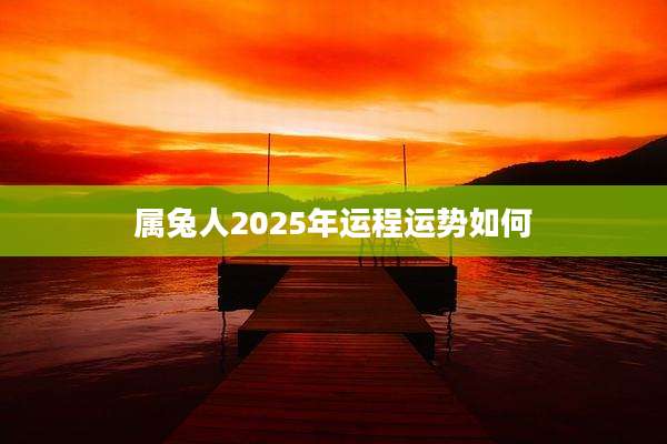 属兔人2025年运程运势如何