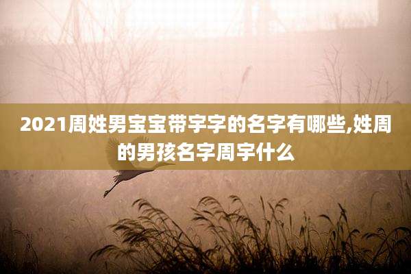 2021周姓男宝宝带宇字的名字有哪些,姓周的男孩名字周宇什么