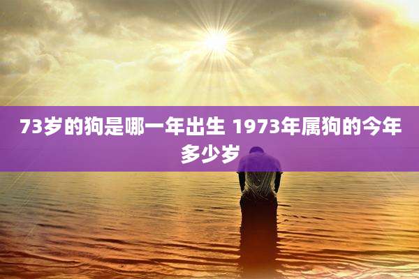 73岁的狗是哪一年出生 1973年属狗的今年多少岁