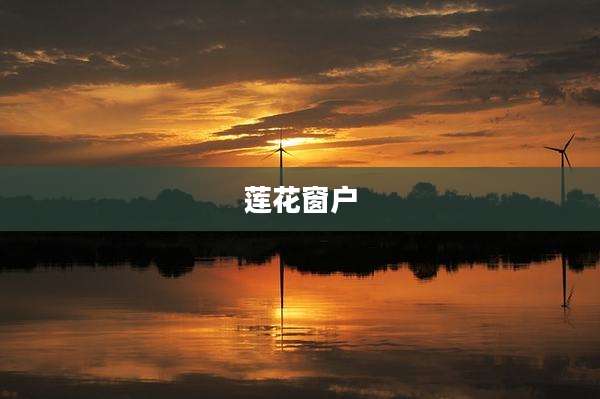 莲花窗户