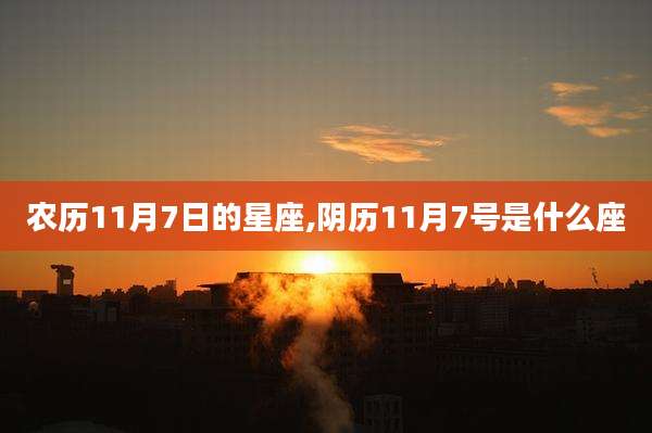 农历11月7日的星座,阴历11月7号是什么座