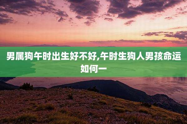 男属狗午时出生好不好,午时生狗人男孩命运如何一