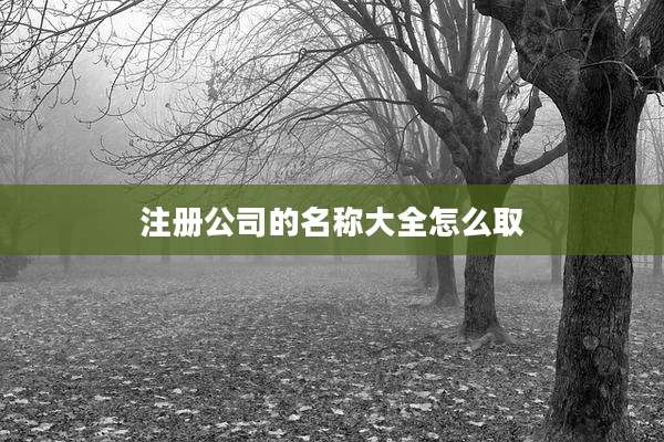 注册公司的名称大全怎么取