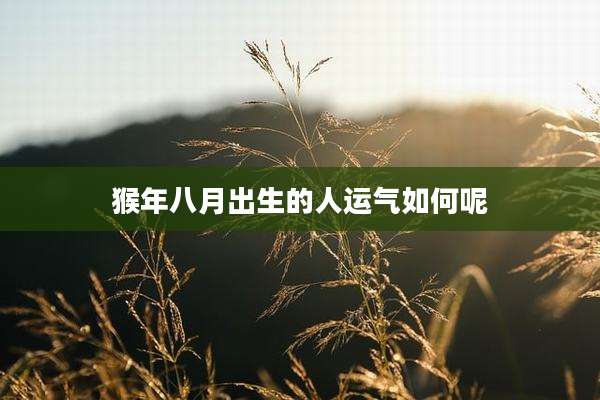 猴年八月出生的人运气如何呢