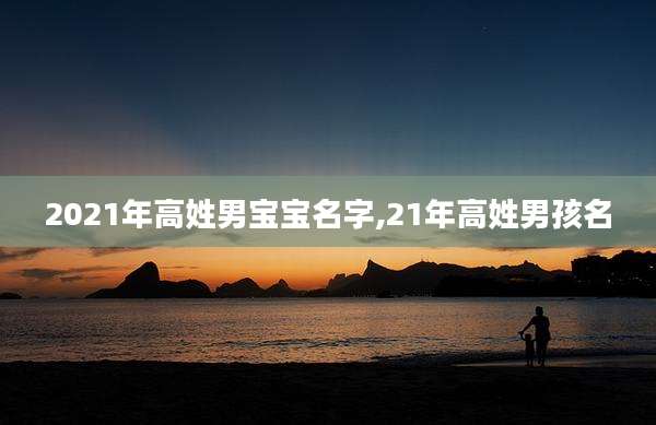 2021年高姓男宝宝名字,21年高姓男孩名