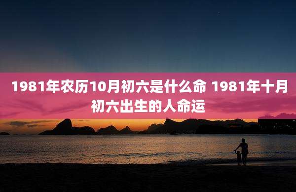 1981年农历10月初六是什么命 1981年十月初六出生的人命运