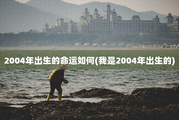 2004年出生的命运如何(我是2004年出生的)