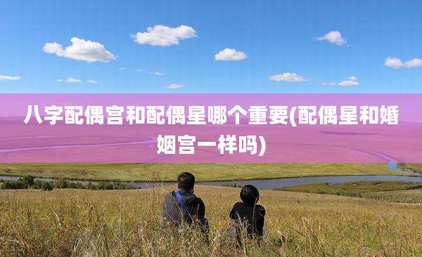 八字配偶宫和配偶星哪个重要(配偶星和婚姻宫一样吗)