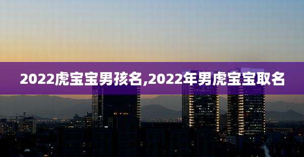 2022虎宝宝男孩名,2022年男虎宝宝取名