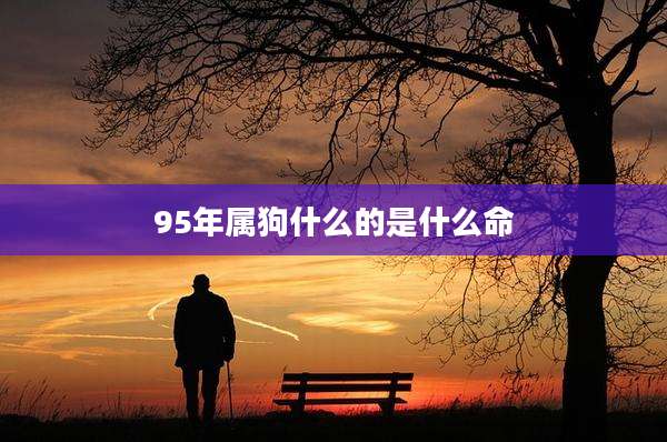 95年属狗什么的是什么命