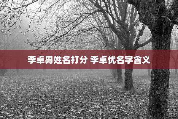 李卓男姓名打分 李卓优名字含义