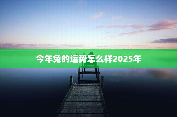 今年兔的运势怎么样2025年