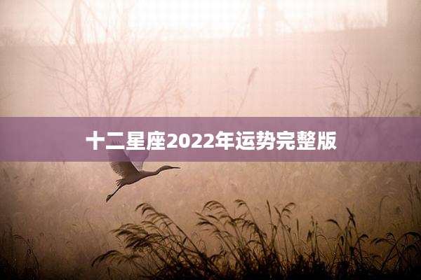 十二星座2022年运势完整版