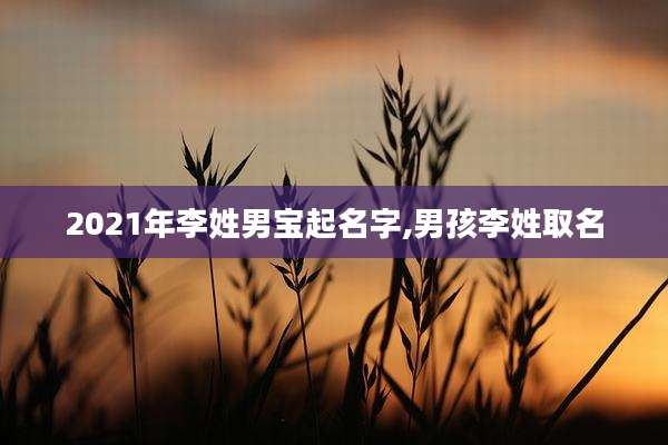 2021年李姓男宝起名字,男孩李姓取名