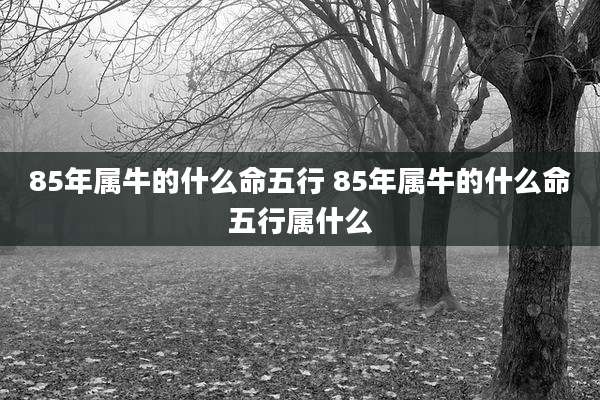 85年属牛的什么命五行 85年属牛的什么命五行属什么