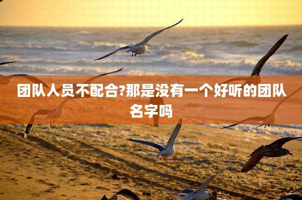 团队人员不配合?那是没有一个好听的团队名字吗