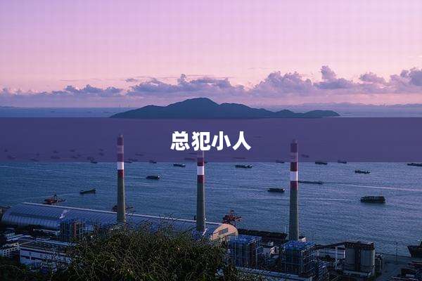 总犯小人