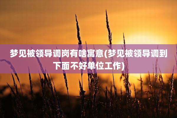 梦见被领导调岗有啥寓意(梦见被领导调到下面不好单位工作)