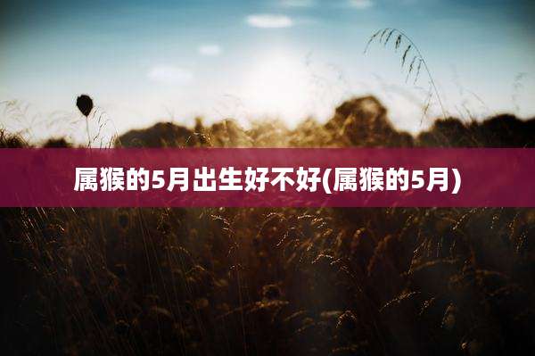 属猴的5月出生好不好(属猴的5月)