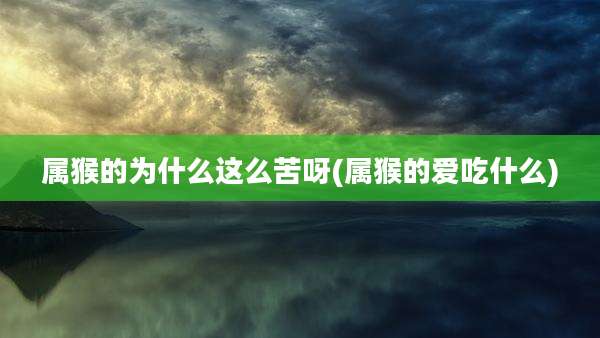 属猴的为什么这么苦呀(属猴的爱吃什么)