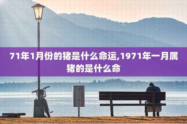 71年1月份的猪是什么命运,1971年一月属猪的是什么命