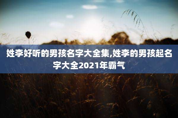 姓李好听的男孩名字大全集,姓李的男孩起名字大全2021年霸气