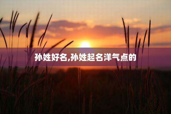 孙姓好名,孙姓起名洋气点的
