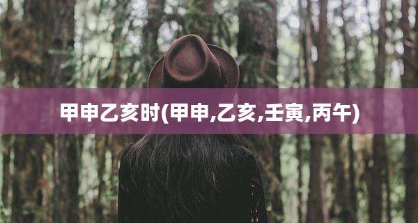 甲申乙亥时(甲申,乙亥,壬寅,丙午)