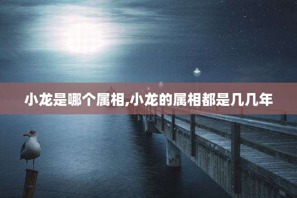 小龙是哪个属相,小龙的属相都是几几年