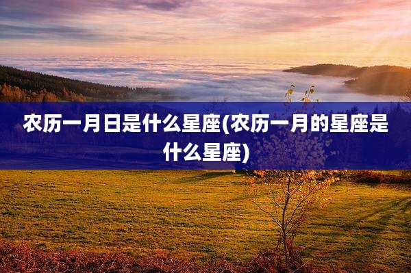 农历一月日是什么星座(农历一月的星座是什么星座)